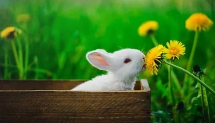 Jiuyou-【比赛总结】胜负背后隐藏的战术智慧，比赛有胜负的下一句