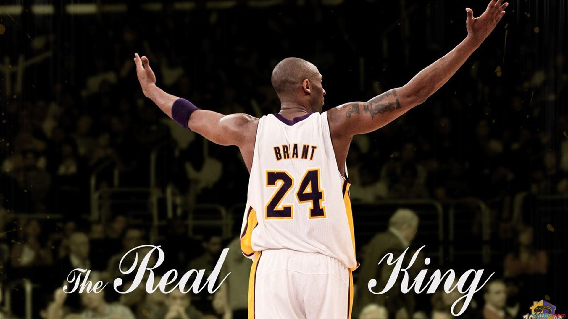 篮球战术：联盟中最具创新性的战术应用，篮球战术_联盟中最具创新性的战术应用是